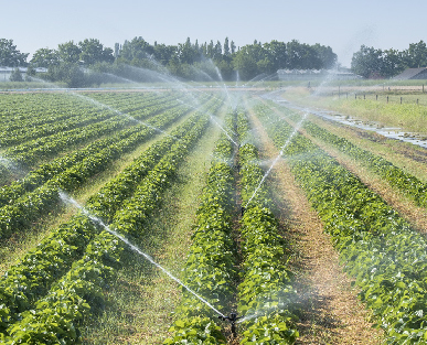 Hydrika DISEÑO DE RIEGO AGRÍCOLA